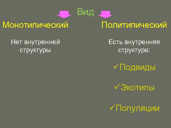 Вид Монотипический Политипический Нет внутренней структуры Есть внутренняя структура: üПодвиды üЭкотипы üПопуляции 