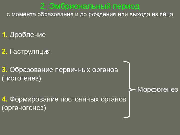2. Эмбриональный период с момента образования и до рождения или выхода из яйца 1.