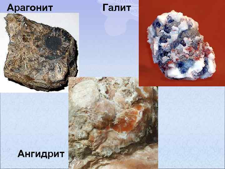 Арагонит Ангидрит Галит 