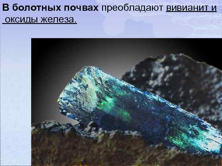 В болотных почвах преобладают вивианит и оксиды железа. 