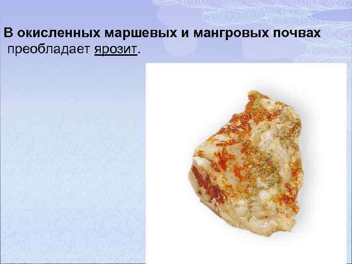 В окисленных маршевых и мангровых почвах преобладает ярозит. 