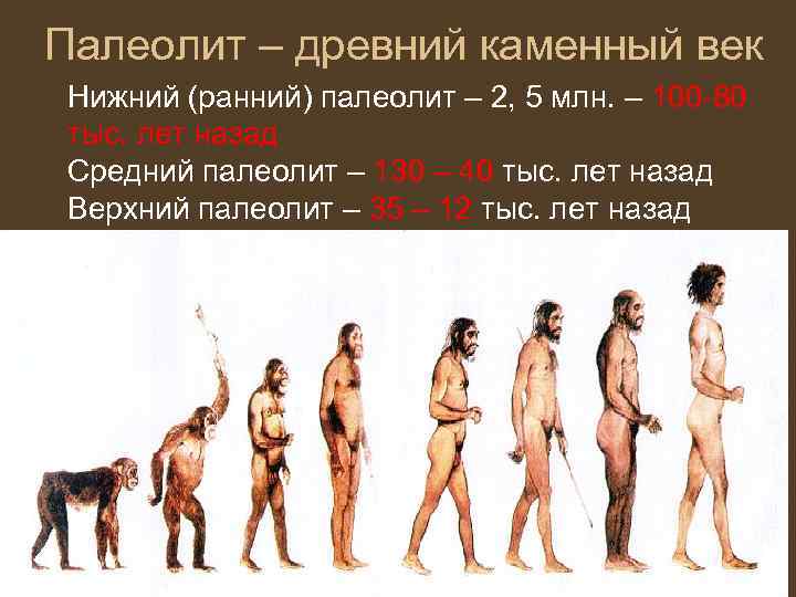 Палеолит – древний каменный век Нижний (ранний) палеолит – 2, 5 млн. – 100