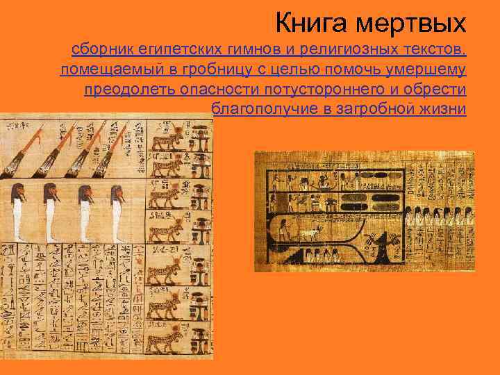 Книга мертвых сборник египетских гимнов и религиозных текстов, помещаемый в гробницу с целью помочь