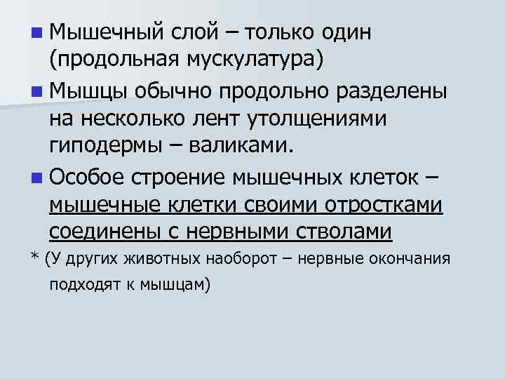 n Мышечный слой – только один (продольная мускулатура) n Мышцы обычно продольно разделены на