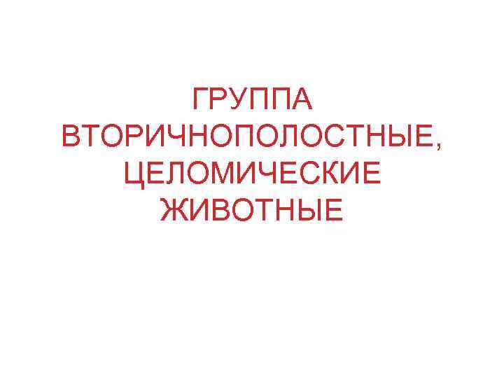 ГРУППА ВТОРИЧНОПОЛОСТНЫЕ, ЦЕЛОМИЧЕСКИЕ ЖИВОТНЫЕ 