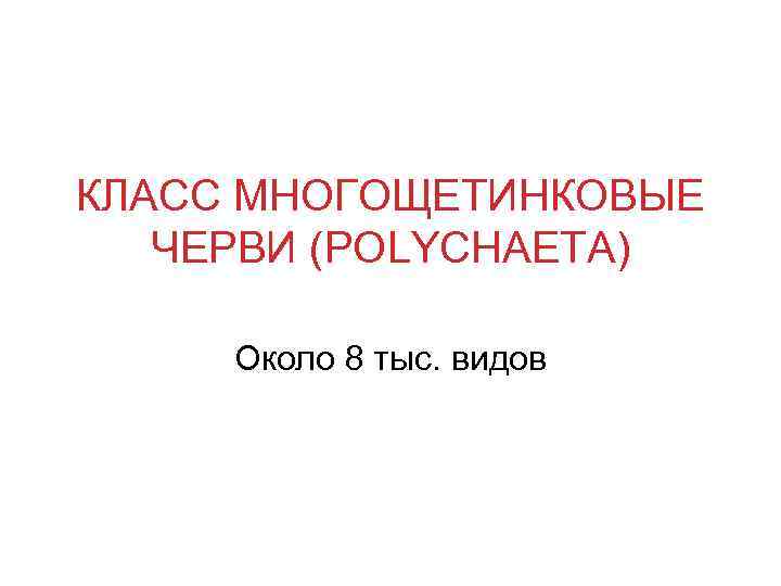 КЛАСС МНОГОЩЕТИНКОВЫЕ ЧЕРВИ (POLYCHAETA) Около 8 тыс. видов 