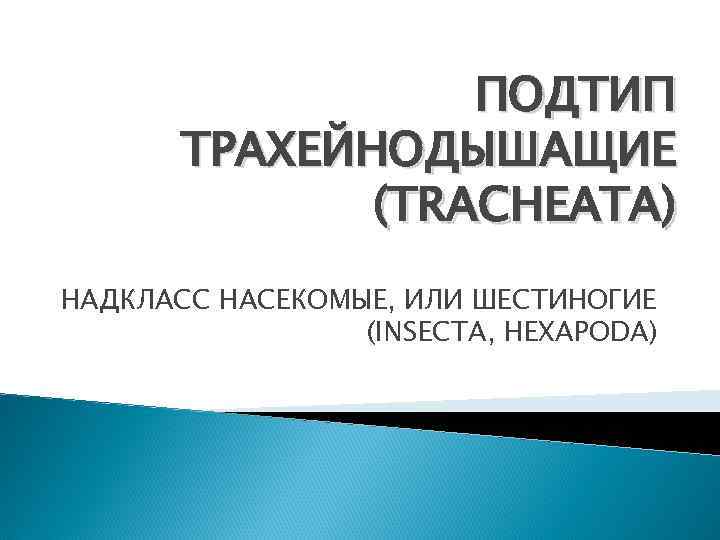 ПОДТИП ТРАХЕЙНОДЫШАЩИЕ (TRACHEATA) НАДКЛАСС НАСЕКОМЫЕ, ИЛИ ШЕСТИНОГИЕ (INSECTA, HEXAPODA) 