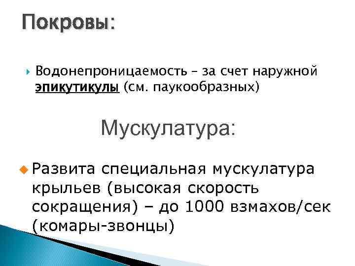 Покровы: Водонепроницаемость – за счет наружной эпикутикулы (см. паукообразных) Мускулатура: u Развита специальная мускулатура