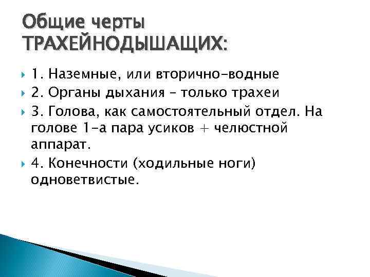 Общие черты ТРАХЕЙНОДЫШАЩИХ: 1. Наземные, или вторично-водные 2. Органы дыхания – только трахеи 3.