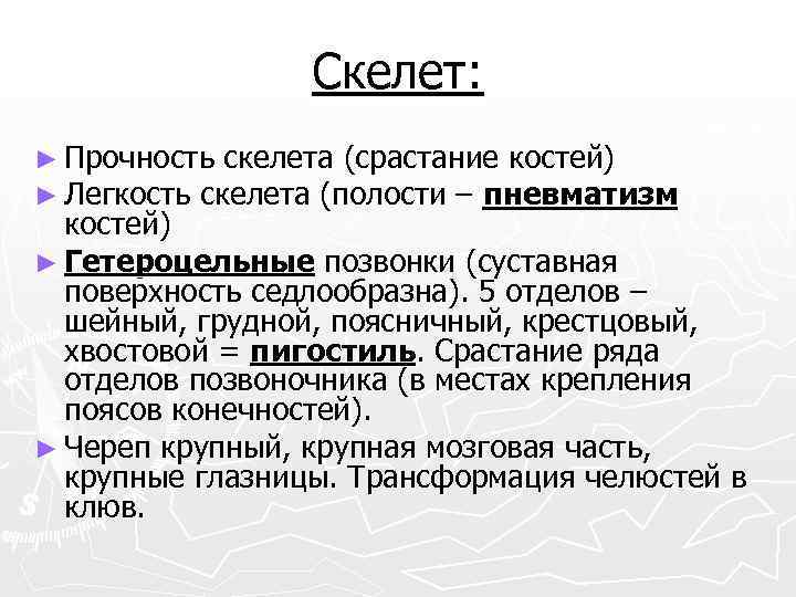 Скелет: ► Прочность скелета (срастание костей) ► Легкость скелета (полости – пневматизм костей) ►