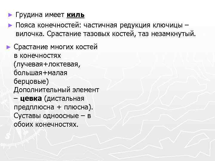 Грудина имеет киль ► Пояса конечностей: частичная редукция ключицы – вилочка. Срастание тазовых костей,