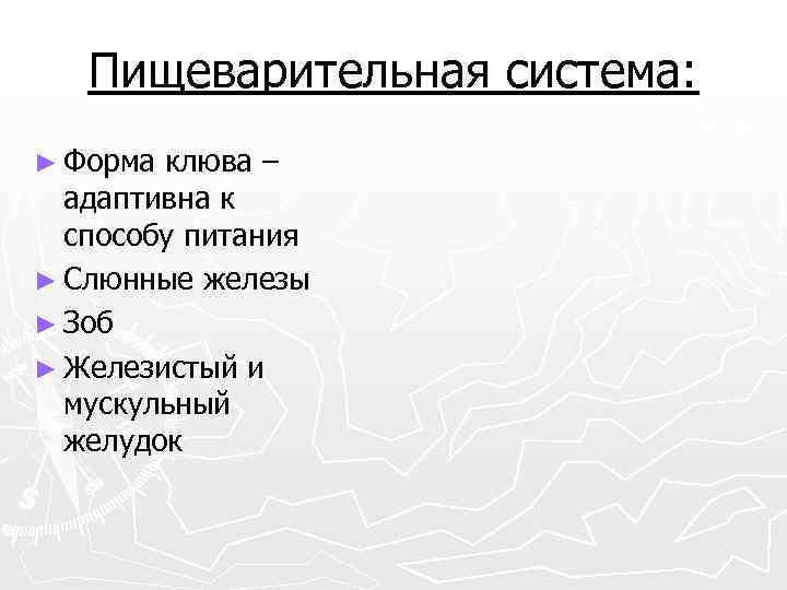 Пищеварительная система: ► Форма клюва – адаптивна к способу питания ► Слюнные железы ►