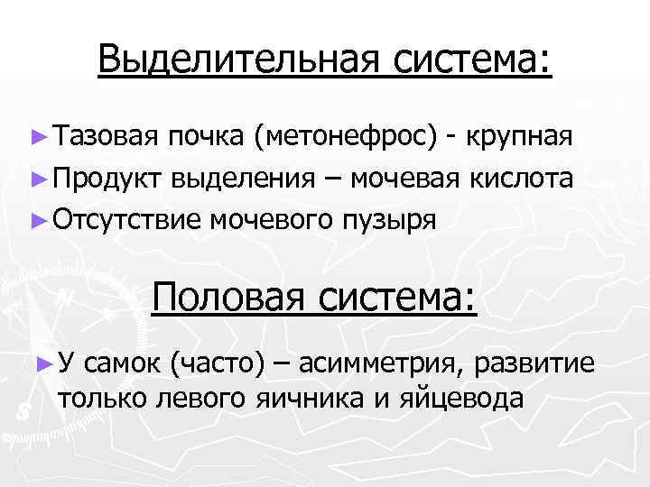 Выделительная система: ► Тазовая почка (метонефрос) - крупная ► Продукт выделения – мочевая кислота