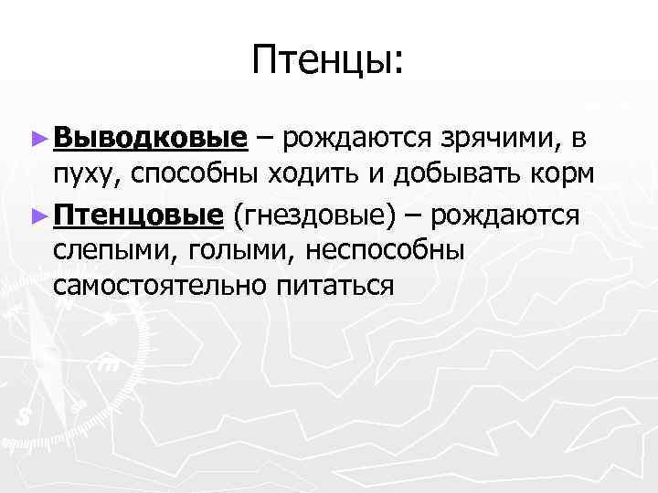 Птенцы: ► Выводковые – рождаются зрячими, в пуху, способны ходить и добывать корм ►