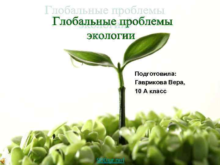 Подготовила: Гаврикова Вера, 10 А класс 900 igr. net 