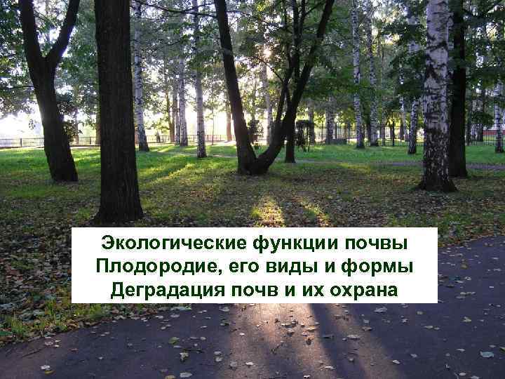 Экологические функции почвы Плодородие, его виды и формы Деградация почв и их охрана 