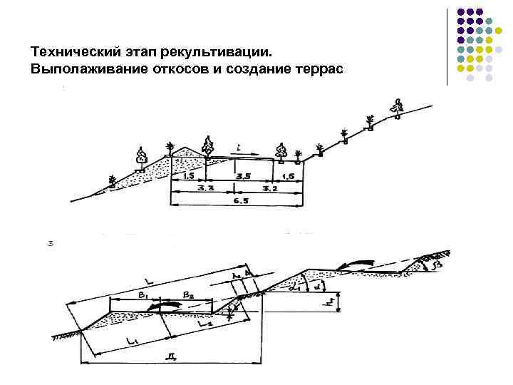 Инструкция проектирования эксплуатации и рекультивации полигонов. Схема выполаживания борта карьера. Биологический этап рекультивации схема. Технический этап рекультивации. Технический этап рекультивации земель.