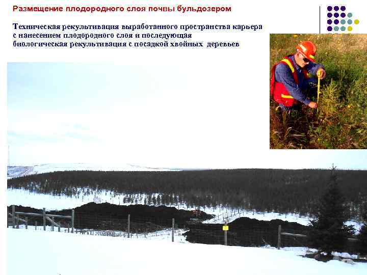 Размещение плодородного слоя почвы бульдозером Техническая рекультивация выработанного пространства карьера с нанесением плодородного слоя