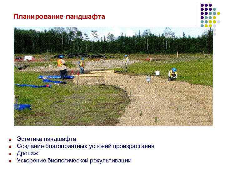 Планирование ландшафта Эстетика ландшафта Создание благоприятных условий произрастания Дренаж Ускорение биологической рекультивации 