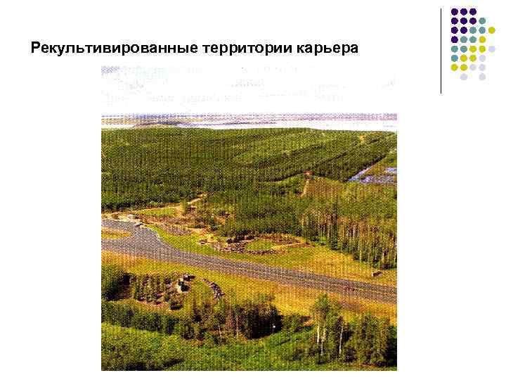 Рекультивированные территории карьера 