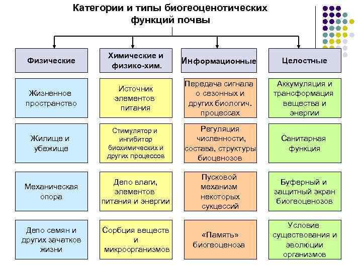 Категории и типы биогеоценотических функций почвы Физические Химические и физико-хим. Информационные Целостные Жизненное пространство