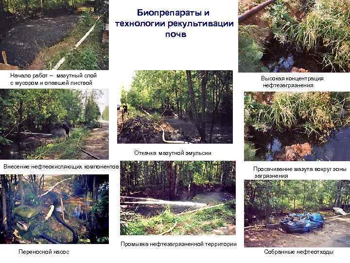 Биопрепараты и технологии рекультивации почв Начало работ – мазутный слой с мусором и опавшей