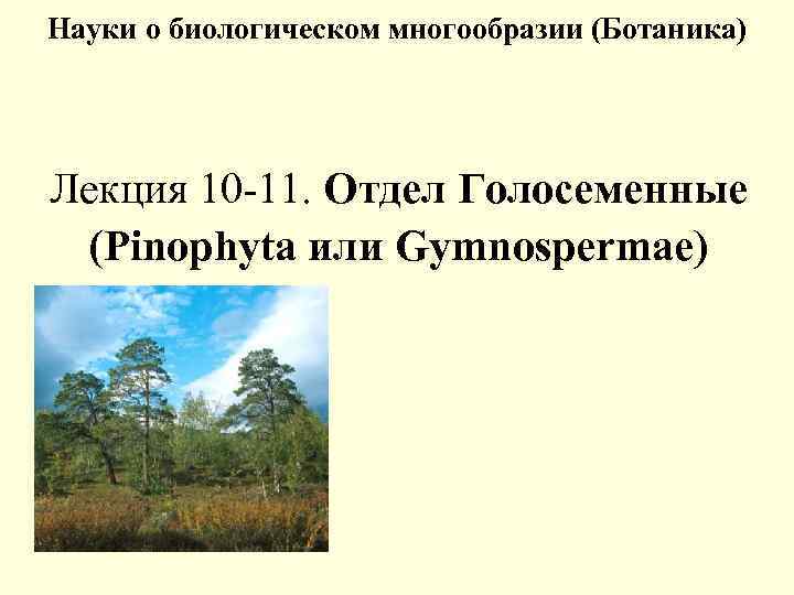 Биологическое разнообразие презентация 10 класс