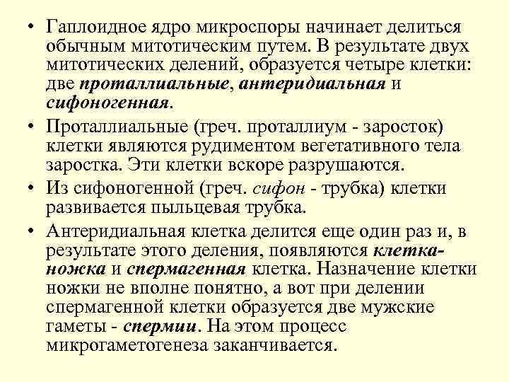  • Гаплоидное ядро микроспоры начинает делиться обычным митотическим путем. В результате двух митотических