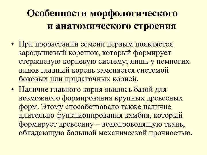 Особенности морфологического и анатомического строения • При прорастании семени первым появляется зародышевый корешок, который