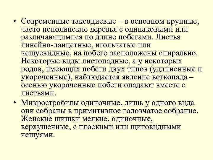  • Современные таксодиевые – в основном крупные, часто исполинские деревья с одинаковыми или