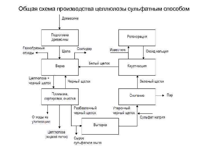 Общая схема производства целлюлозы сульфатным способом 