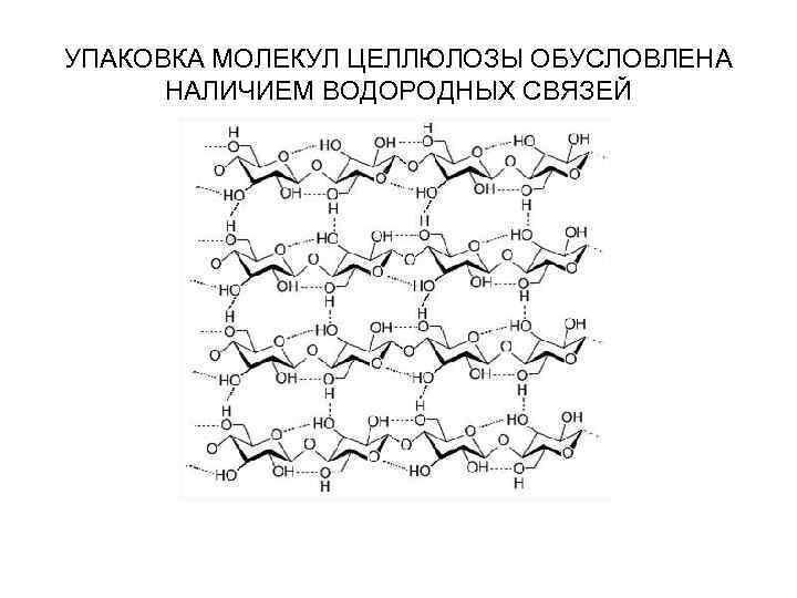 УПАКОВКА МОЛЕКУЛ ЦЕЛЛЮЛОЗЫ ОБУСЛОВЛЕНА НАЛИЧИЕМ ВОДОРОДНЫХ СВЯЗЕЙ 