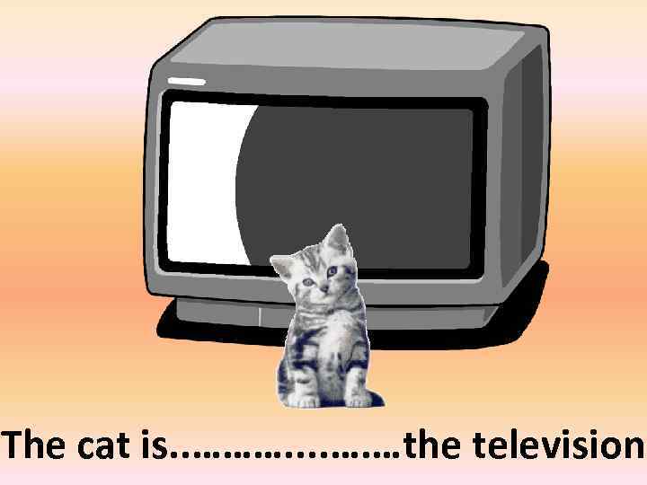 in front of The cat is. . ………. . …. …the television 