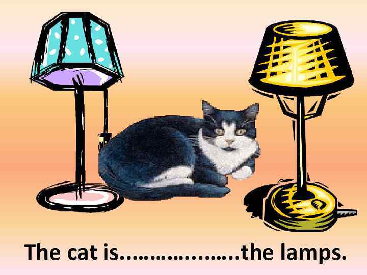 between The cat is. . ………. . the lamps. 