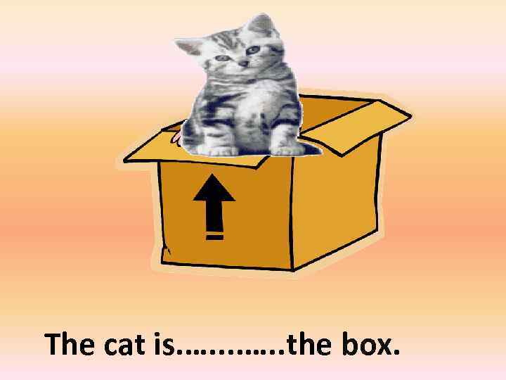 in The cat is. …. . the box. 