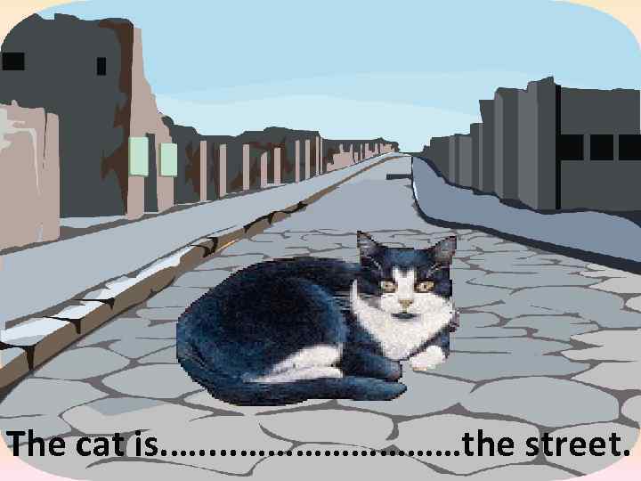 in the middle of The cat is. …. . …………the street. 