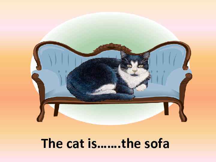 on The cat is……. the sofa 