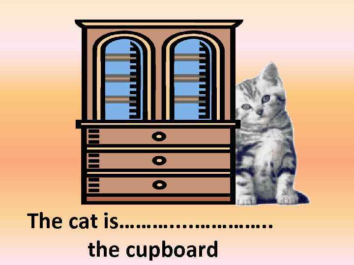 on the right of The cat is………. . …………. . the cupboard 