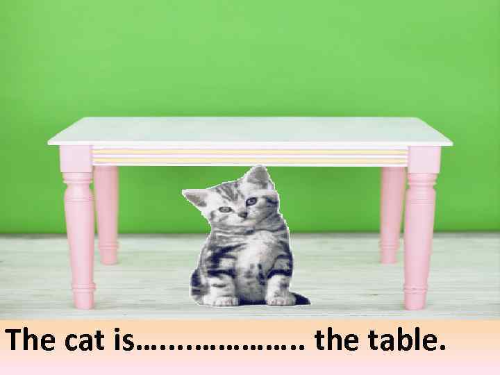 under The cat is…. . …………. . the table. 
