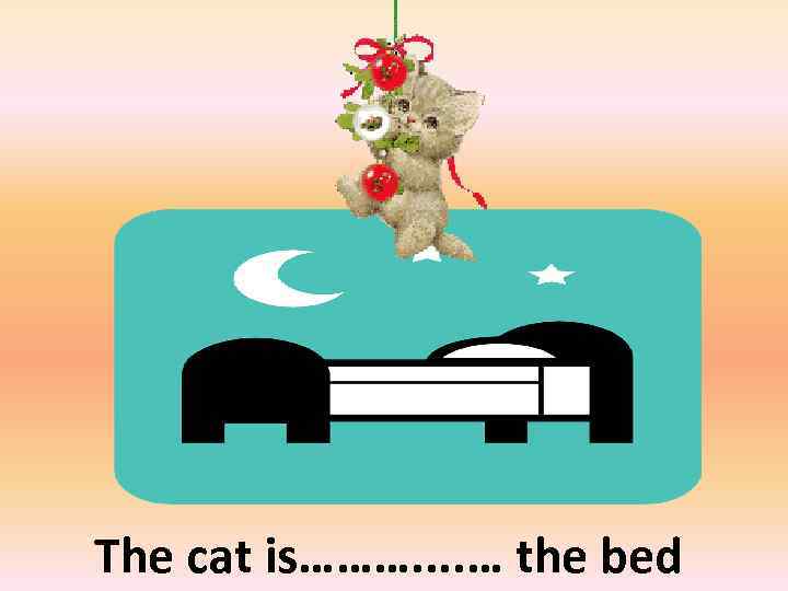 above The cat is………. . … the bed 