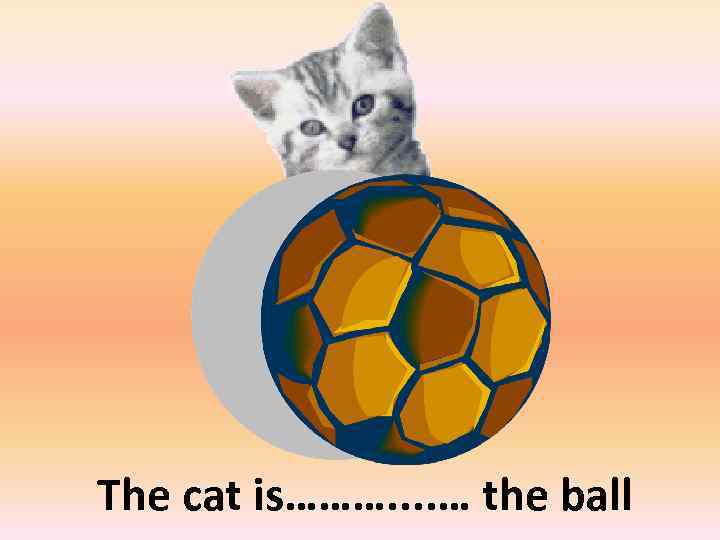 behind The cat is………. . … the ball 
