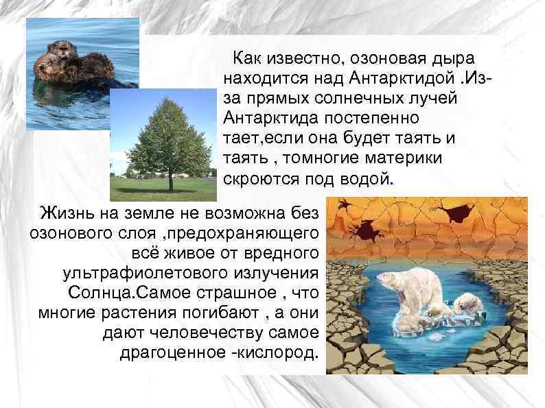 Как известно, озоновая дыра находится над Антарктидой. Изза прямых солнечных лучей Антарктида постепенно тает,