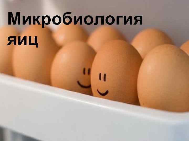 Микробиология яиц 