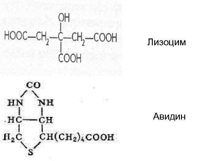 Инфицирование яиц микроорганизмами может происходить двумя путями: * Эндогенным – микроорганизмы проникают в яйцо