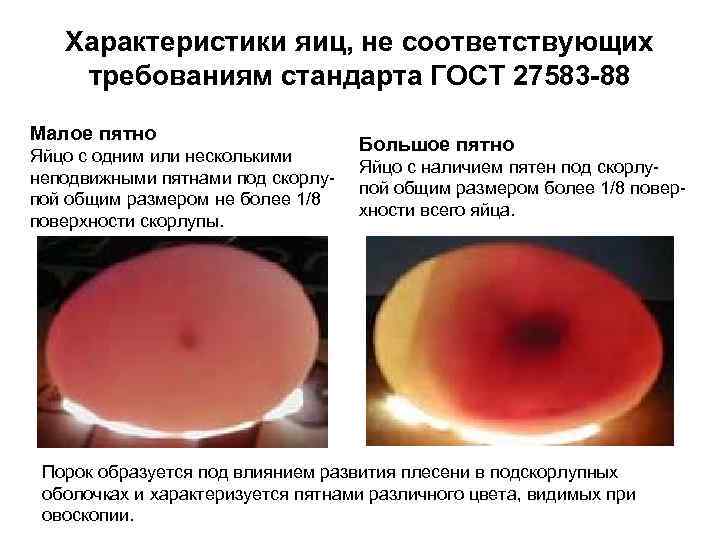 Эти пороки вызывают плесени  пенициллиум (точечные пятна желто-сине-зеленого цвета); кладоспориум (темно-зеленые и черные);