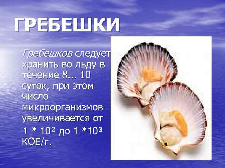 ГРЕБЕШКИ Гребешков следует хранить во льду в течение 8. . . 10 суток, при