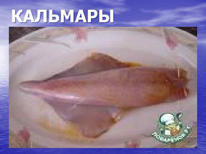 КАЛЬМАРЫ 