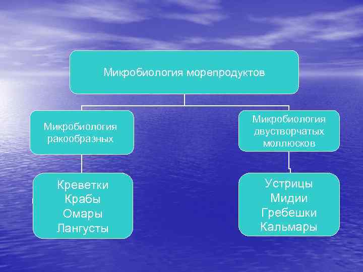   Микробиология морепродуктов       Микробиология  