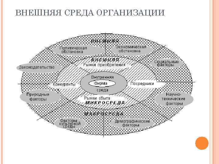 ВНЕШНЯЯ СРЕДА ОРГАНИЗАЦИИ 