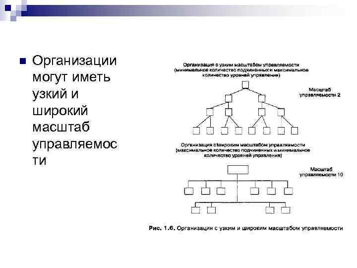 n Организации могут иметь узкий и широкий масштаб управляемос ти 